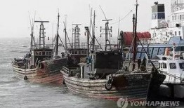 爆料渔船视频播放大全最新,海上捕捞瞬间大盘点